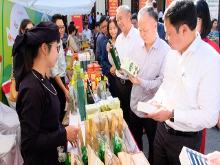 21 tỉnh thành cung cấp hàng triệu tấn thực phẩm an toàn cho Hà Nội
